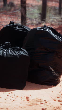 garbage bags on the ground