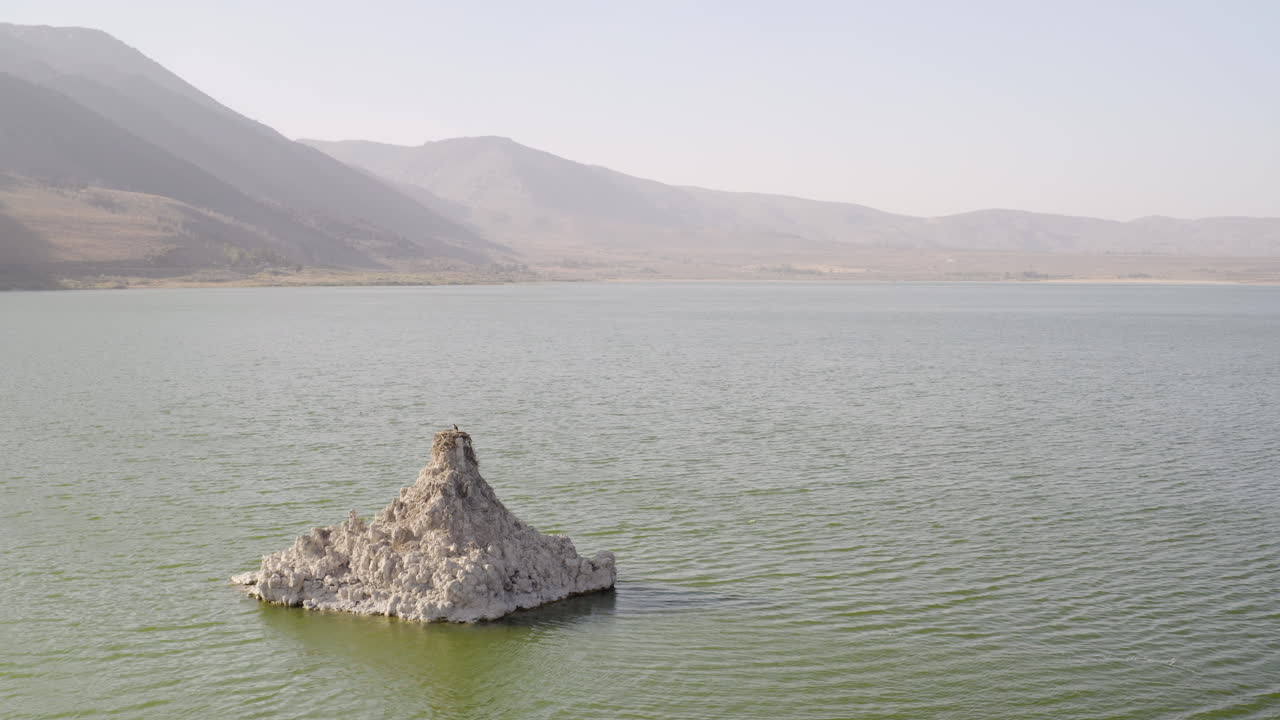 перелетная птица сидит на вершине своего гнезда на большой туфовой башне на озере моно в калифорнии