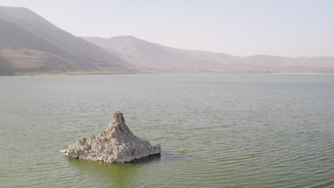 Migratory-bird-sitting-on-top-of-its-nest-on-a-large-Tufa-Tower-in-Mono-Lake-California