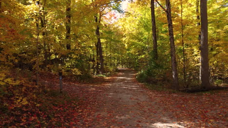 un camino arenoso a través de un bosque en hermosos colores otoñales en vaughan, canadá