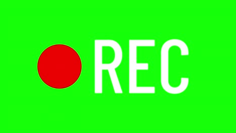 inscription rec and blinking red circle dot on a green background. motion graphic video recording animation.