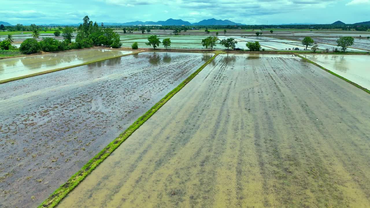 Drone footage pushing in over flooded rice fields in rural Kanchanaburi,Thailand. The aerial view shows waterlogged paddies, dividing paths, scattered trees, and mountains on the horizon