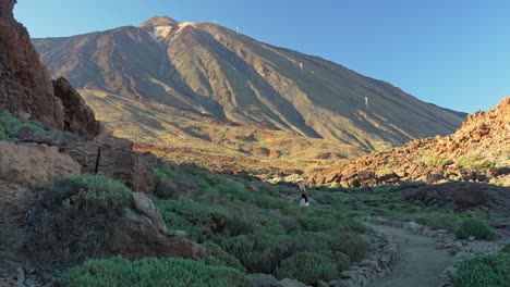 Weite-Totalaufnahme-Einer-Touristin-Auf-Einem-Wanderweg-Im-Teide-Nationalpark,-Teneriffa