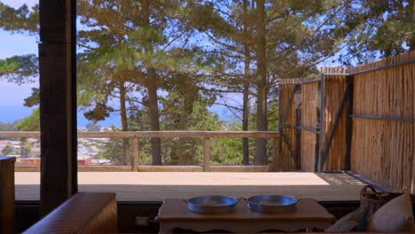 recording towards the outside of a house, you can see a sofa and in the background a rustic terrace with a pine forest, daylight with a blue sky