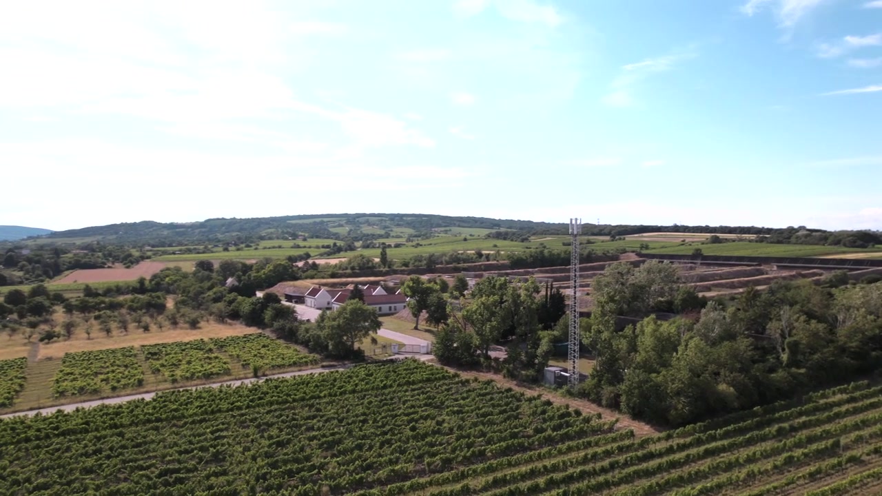 4K drone aerial view of Stammersdorf, Vienna, Austria. Vineyards and farmland surround this historic wine-growing district at the foot of Bisamberg, with the Vienna skyline visible in the distance.