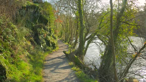 camino de tierra vacío en la orilla del lago de étang saint-nicolas en ira, francia en un día soleado