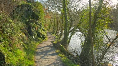 empty dirt road at the lakeshore of étang saint-nicolas in angers, france on a sunny day