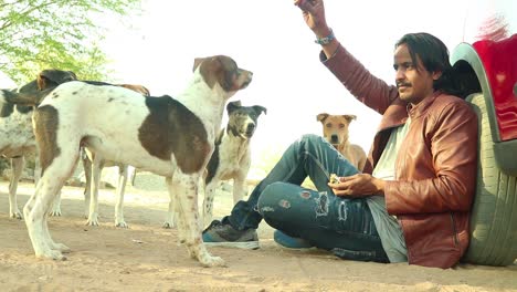 low angle shot of young man feeding street dogs a piece of tasty biscut from the hand