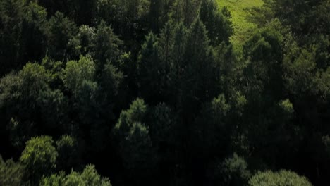 drone flying over outing club ski hill in the summer
