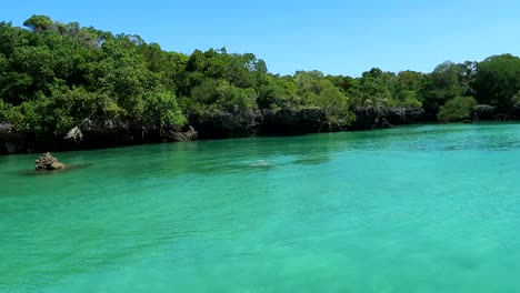 Woman-bathing-in-blue-tropical-lagoon-surrounded-by-mangroves-in-Kwale-island,-Eastern-Africa