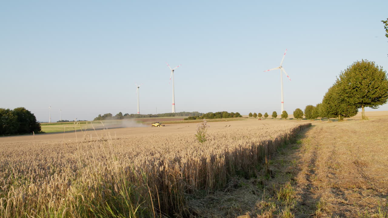 Idyllic rural scene of a golden wheat field during harvest, with a tractor working in the distance