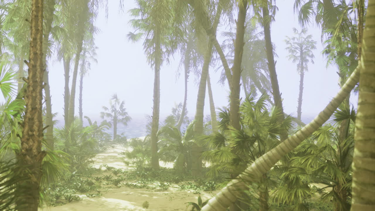 Tropical beach path surrounded by lush greenery on a sunny day