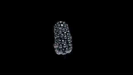 visualización 3d estereoscópica de blackberry giratorio aislado en un fondo negro editable