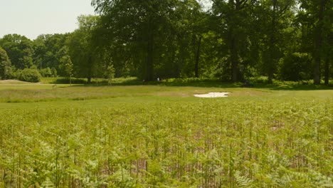 golf course at boitsfort's former historic race track