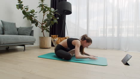una hermosa joven hace yoga en casa mientras su perro sigue dando vueltas a su alrededor