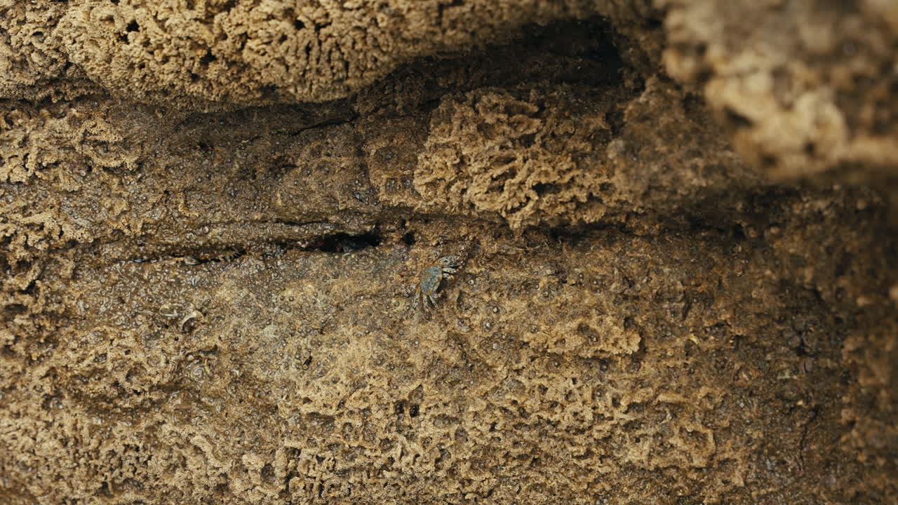 Testura della parete della grotta