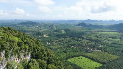 limestone karst cliffs surrounded by agricultural land rubber tree and oil palm plantations cash crop top export carbon sink biofuel