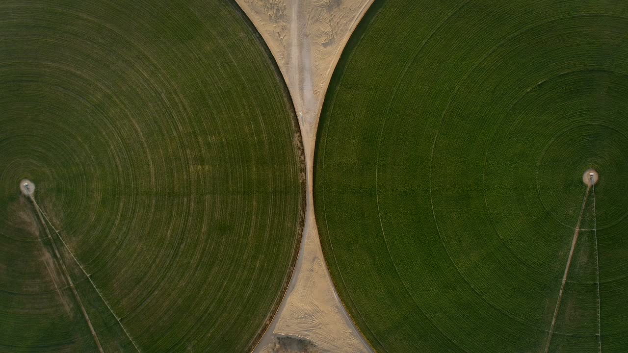 vista aérea de un coche conduciendo entre círculos verdes en el desierto de dubái.