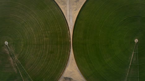 aerial view of a car driving in between green circles in the desert in dubai.