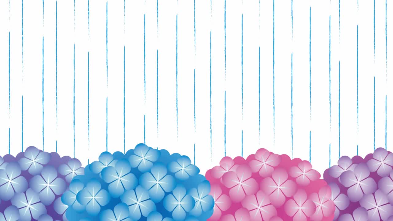 호드렌지아 꽃에 내리는 비의 루프 애니메이션