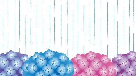 animación en bucle de la lluvia que cae sobre las flores de la hortensia