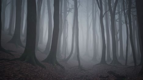 light fog enveloping a mysterious dark forest creates an enchanting atmosphere, with tall trees rising above a carpet of fallen leaves, evoking a tranquil and moody scene