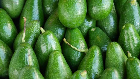 aguacates frescos
