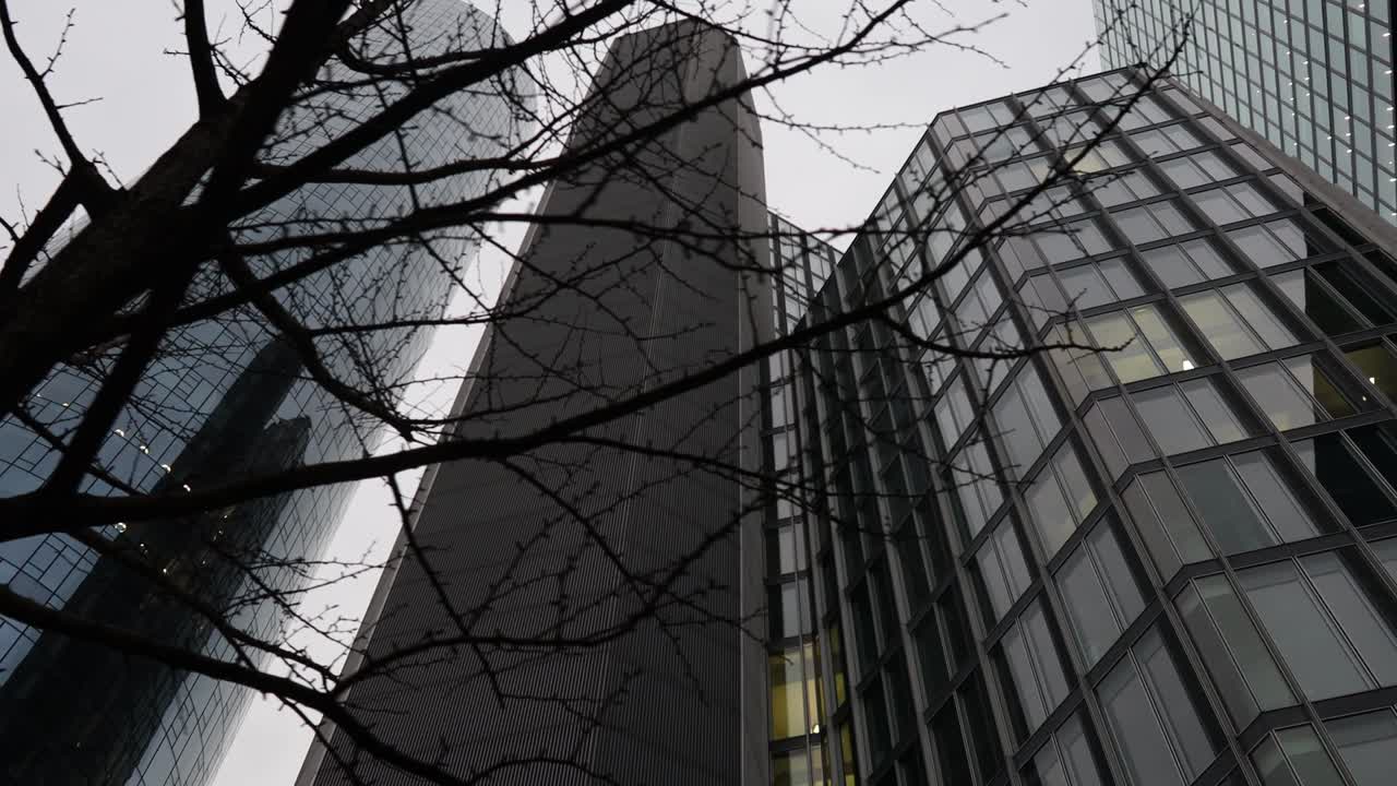 겨울에 프랑크푸르트 암 메인 독일의 스카이 라인 25fps