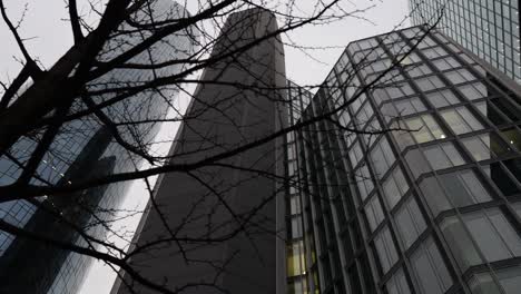 el horizonte de frankfurt am main en alemania en invierno 25 fps