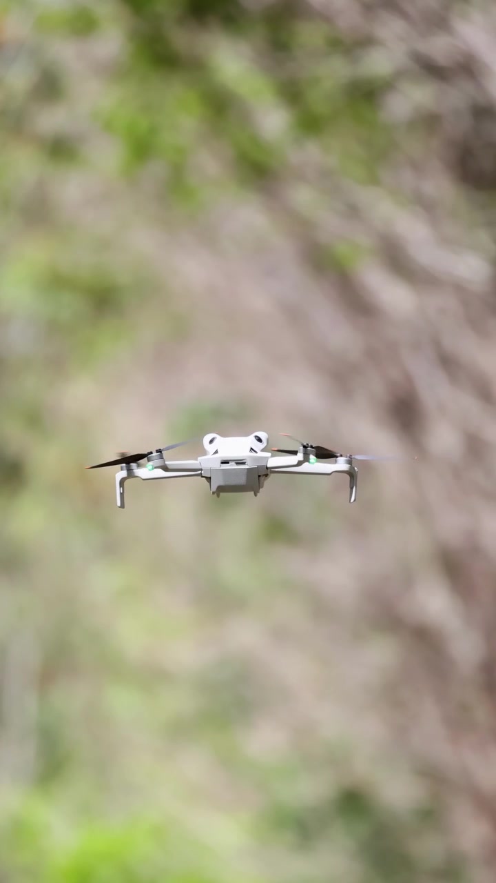 En drone svæver stabilt midt i en levende, grøn skovkulisse med blid kamerabevægelse og naturlig belysning.
