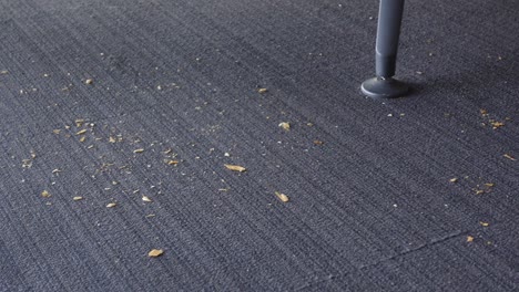 migas en la alfombra