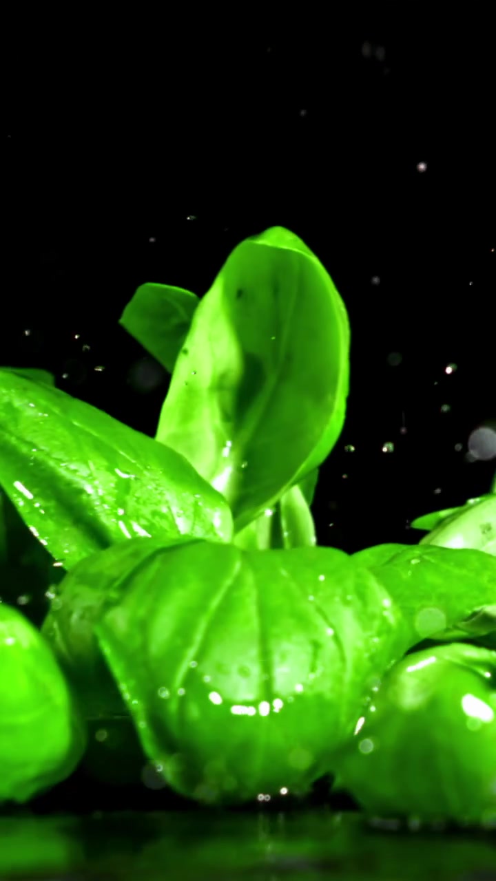 Rallentatore di foglie di basilico fresche che cadono su una superficie bagnata