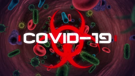 texto de covid-19 sobre el símbolo de riesgo biológico contra las células de covid-19 y los vasos sanguíneos flotantes