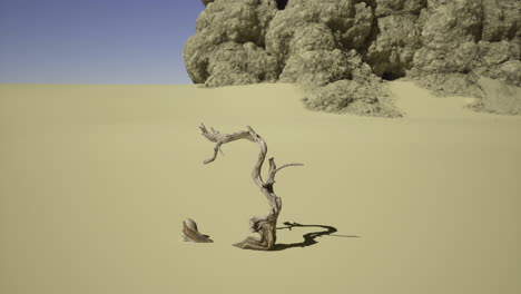 unique twisted branch stands alone in a vast sandy landscape under clear skies