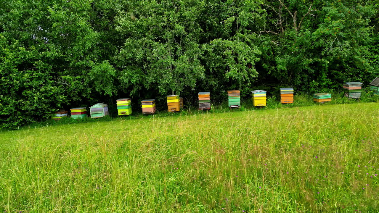 la antena revela coloridas cajas de correo de cartas, en un jardín de hierba abiertos campos verdes
