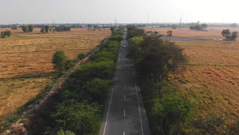 Long-straight-road-with-green-tress-on-the-both-side-crossing-thought-the-agricultural-land