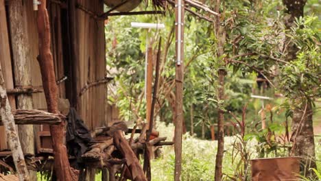 entrada frontal a una choza en la jungla en papua
