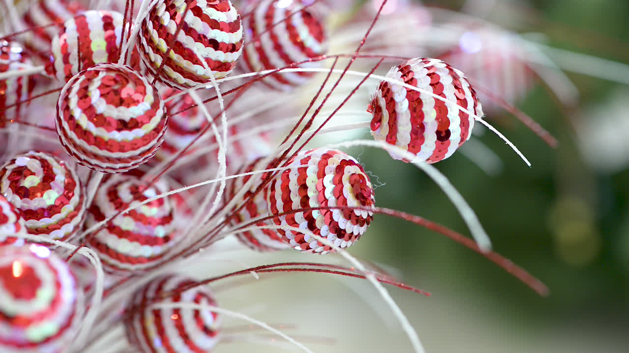 聖誕節的紅色和白色裝飾在第一架飛機