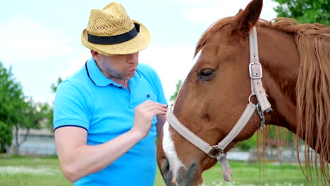 el hombre con el sombrero acaricia el caballo por el hocico en el prado