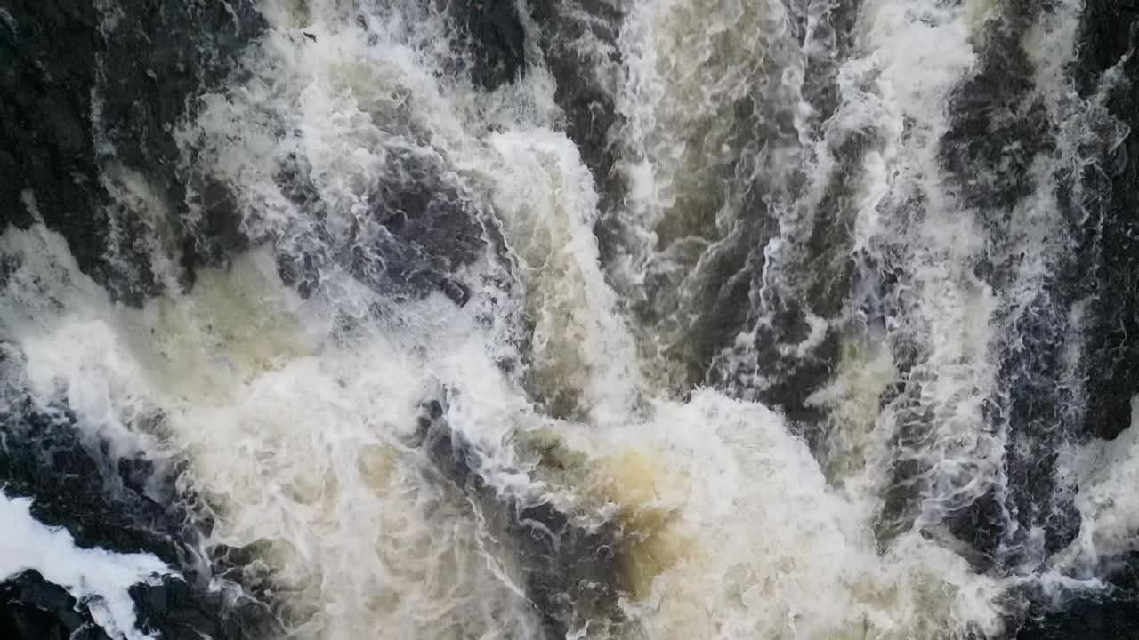 Small Atlantic Salmon migrating up a small river in Scotland jumping up a waterfall. Drone View