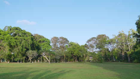 green lawn yard park in resort hotel of intercontinental bali resort, indonesia