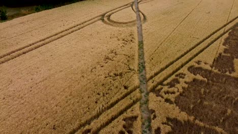 Vista-De-Pájaro-De-Un-Campo-De-Trigo-Irregular