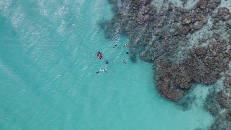 Vista-Aérea-De-Buceadores-En-Un-Arrecife-Caribeño