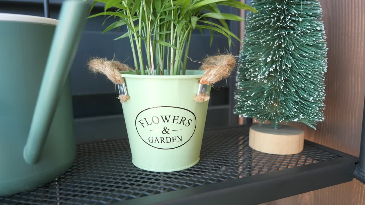 Decorative Plant Pot and Christmas Tree on Shelf
