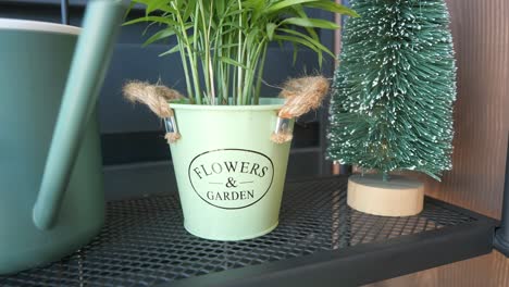 decorative plant pot and christmas tree on shelf