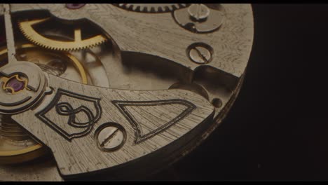 probe lens of the mechanical gears within a watch