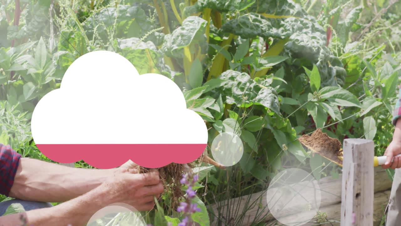 Hands tending plants in garden with cloud and circles animation overlay
