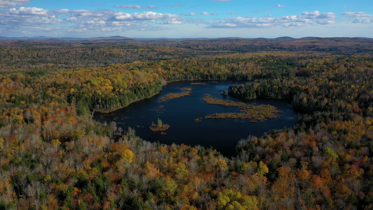 imágenes aéreas que vuelan más cerca de un estanque con una isla en un bosque de finales de otoño