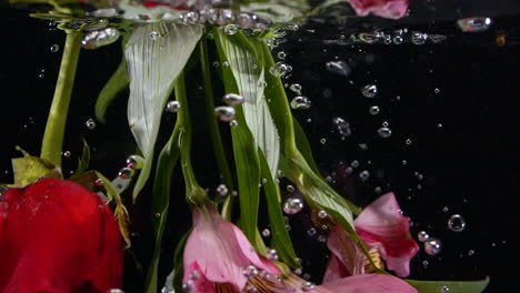 Slow-Motion-Tiger-Lily-and-Rose-Submerge-in-Sea-Water-with-Bubbles-Beautiful-Abstract-Background