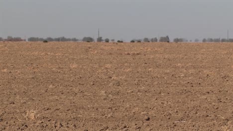 Typical-red-soil-in-dry-regions-of-California,-USA-1